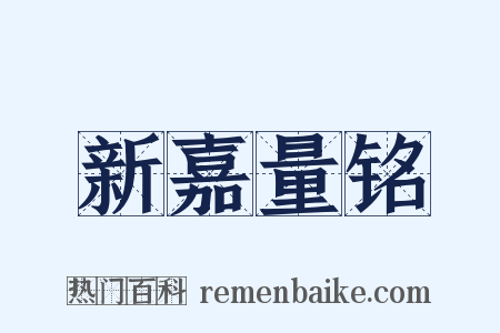 新嘉量铭是什么意思的图片